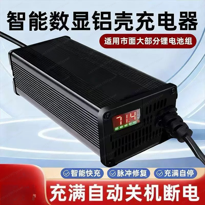 48V 60V 72V Smart LiFePO4 Li-i - 72V 15A Fast Charger 评论和价格